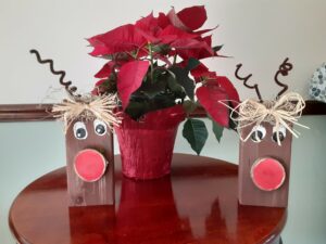 Hospice Care Orangeburg SC - Santa's Reindeer Have Arrived at Longwood Plantation!